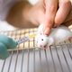 Image for article titled Can technology help us put an end to animal experimentation?